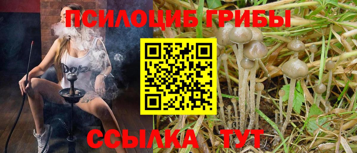 Галлюциногенные грибы Magic Shrooms Ефремов