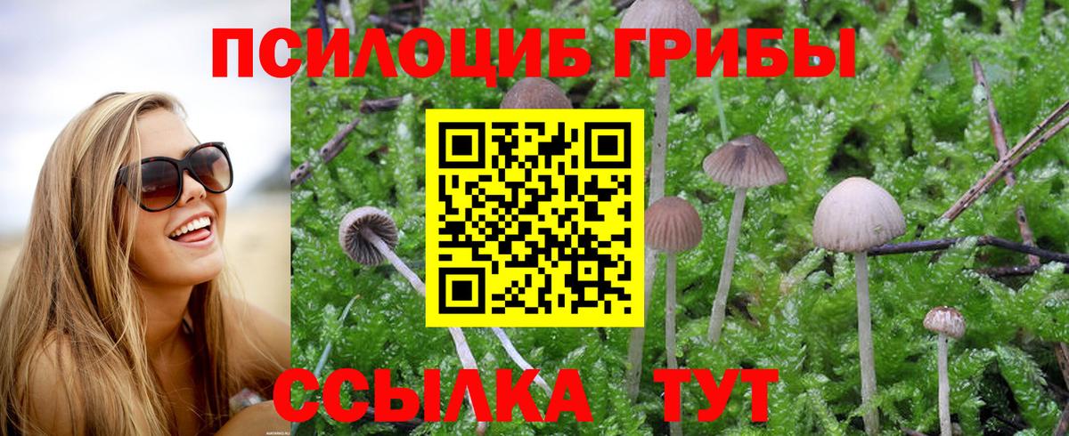 Галлюциногенные грибы ЛСД  Вход с VPN  Ефремов 